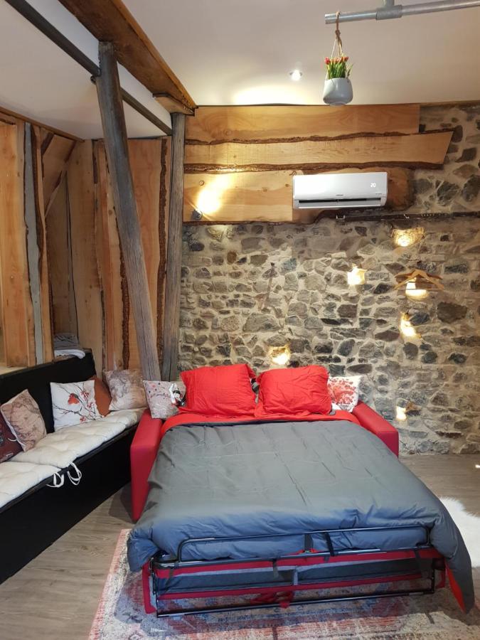 Вилла Ancien Cuvage Du Beaujolais - Studio Tout Confort Saint-Didier-sur-Beaujeu Экстерьер фото