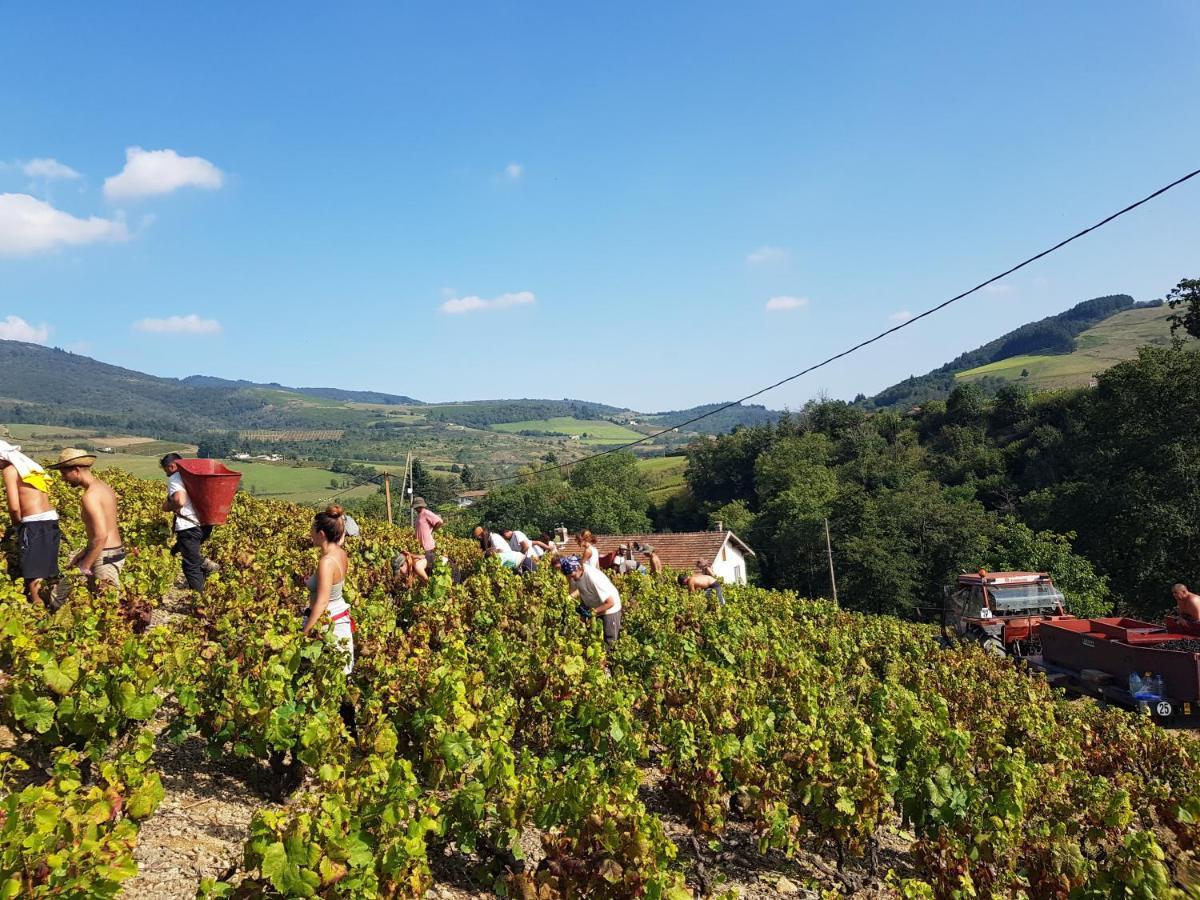 Вилла Ancien Cuvage Du Beaujolais - Studio Tout Confort Saint-Didier-sur-Beaujeu Экстерьер фото